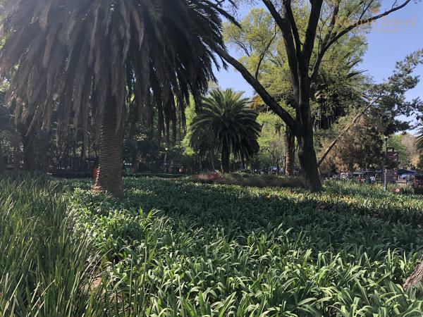 Парк Чапультепек. Мехико